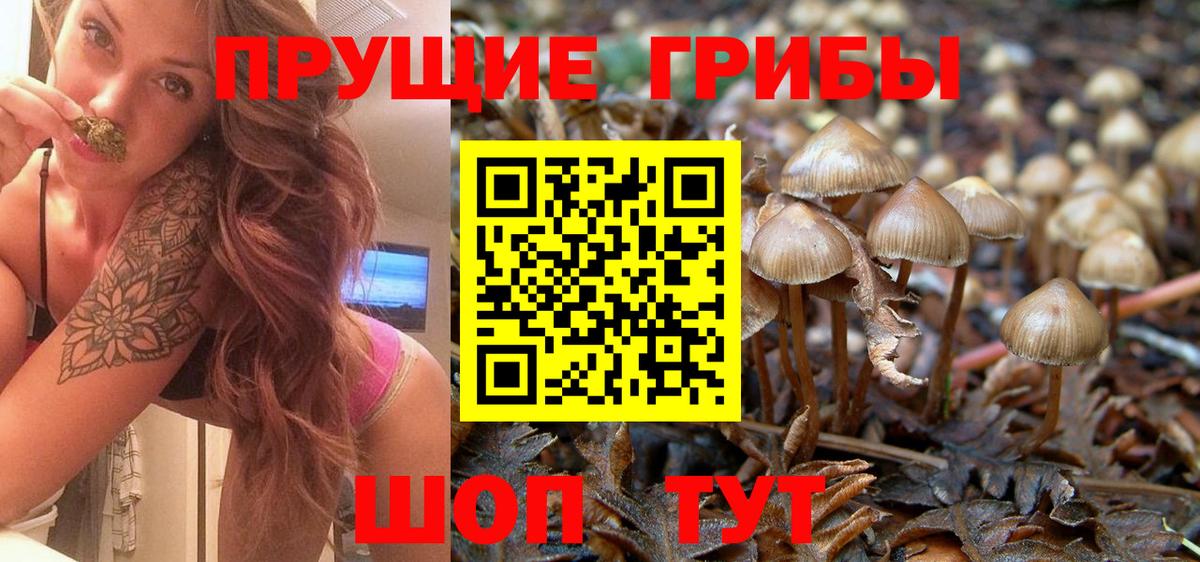 Ярославль  Вход с VPN  Кокаин  МЕФ   ГАШ  Гашиш 