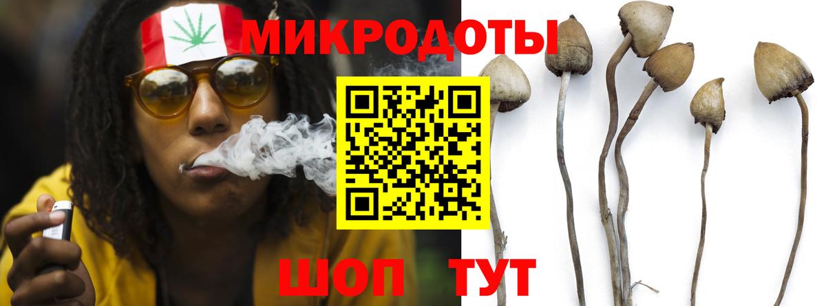 Галлюциногенные грибы Cubensis Ярославль